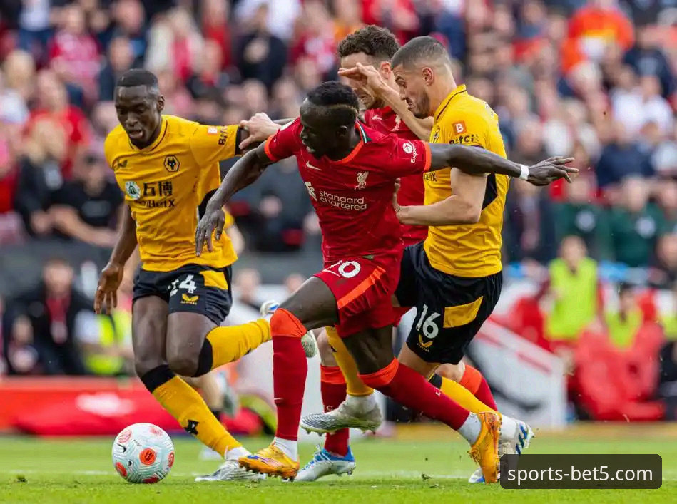 bet5体育平台App下载与使用完整指南：解锁专业观赛新体验